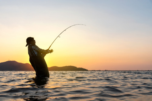 shutterstock_1323264227