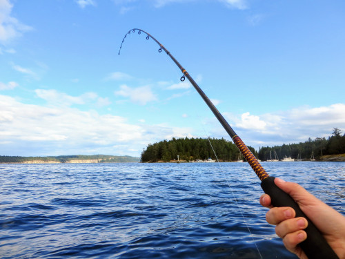 shutterstock_1485505439