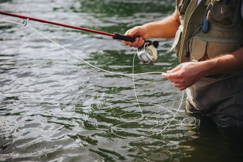 shutterstock_1775823989