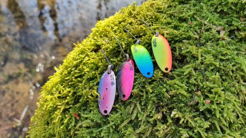 shutterstock_1931804843