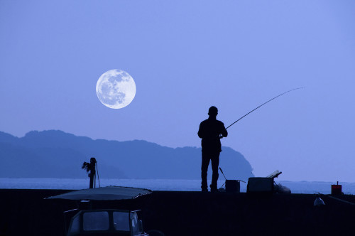 shutterstock_200351414-(1)