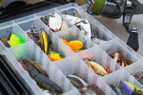 shutterstock_2275743269