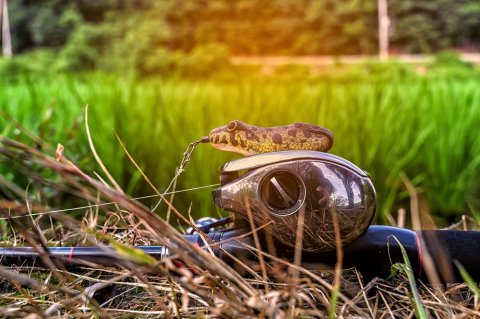 shutterstock_2345358205