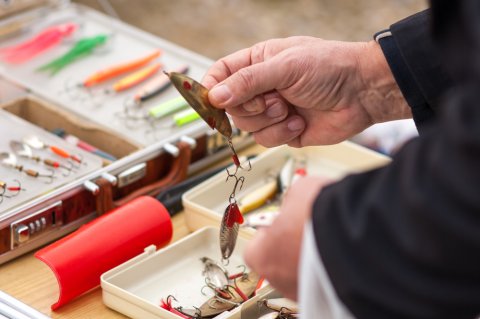 shutterstock_242486776