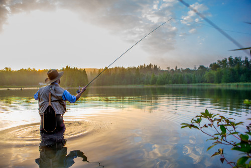 shutterstock_459296227