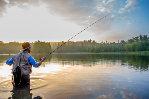shutterstock_459296251-(2)
