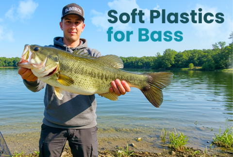 soft-plastics-for-bass