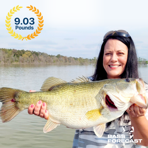 some-name---winner-(5)