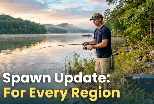 spring-spawn-for-every-region