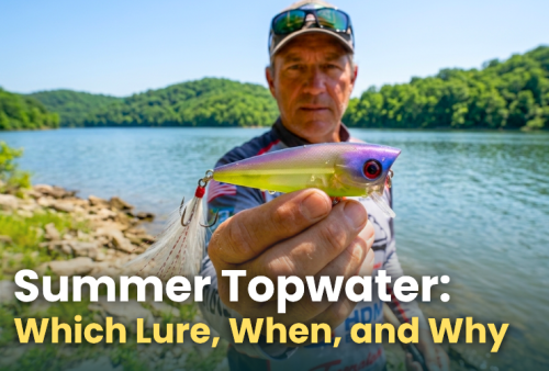 summer-topwater-which-lure,-when,-and-why