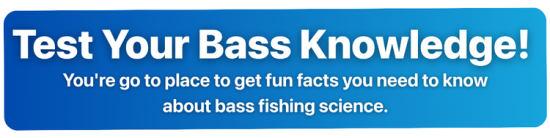test-your-bass-knowledge-2