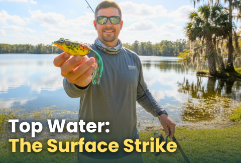 topwater-bass-fishing-the-art-of-the-surface-strike