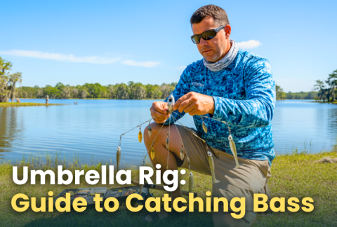 umbrella-rig-bass-fishing-how-to-catch-big-largemouth