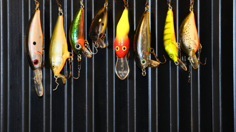 winter-buyers-guide---hero