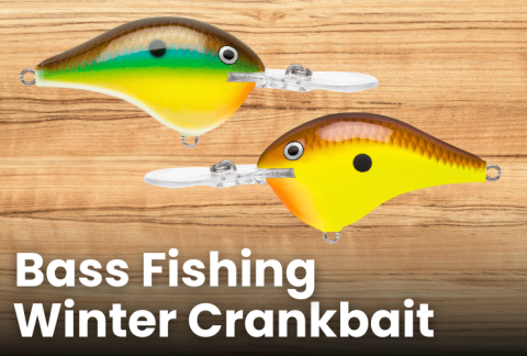 winter-crankbait-bass-fishing-