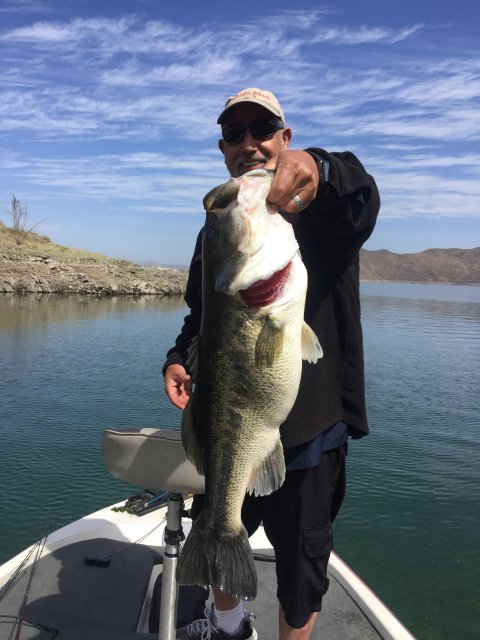 Sherif Guirguis Story Catch