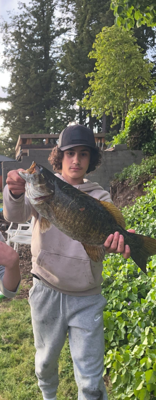 Cruz Vargas Story Catch