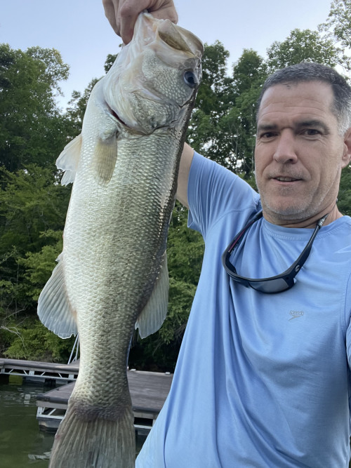 Tim Fitz Story Catch