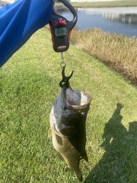 Anthony Letourneau Story Catch