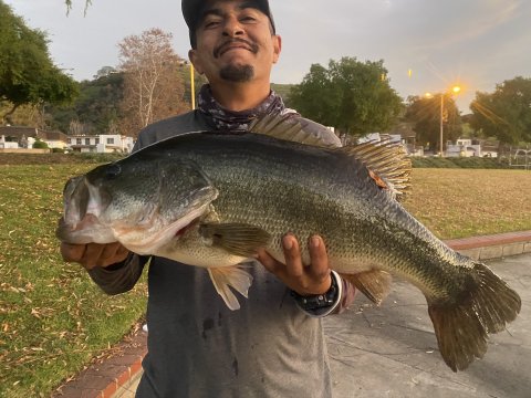 Joey Delorbe Story Catch