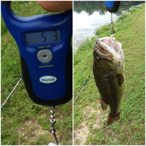 William Robare Story Catch