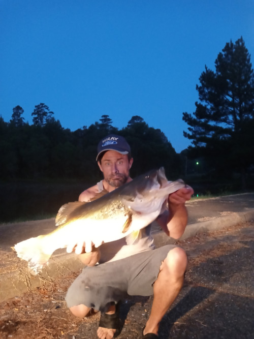 Charles Alsabrook Story Catch