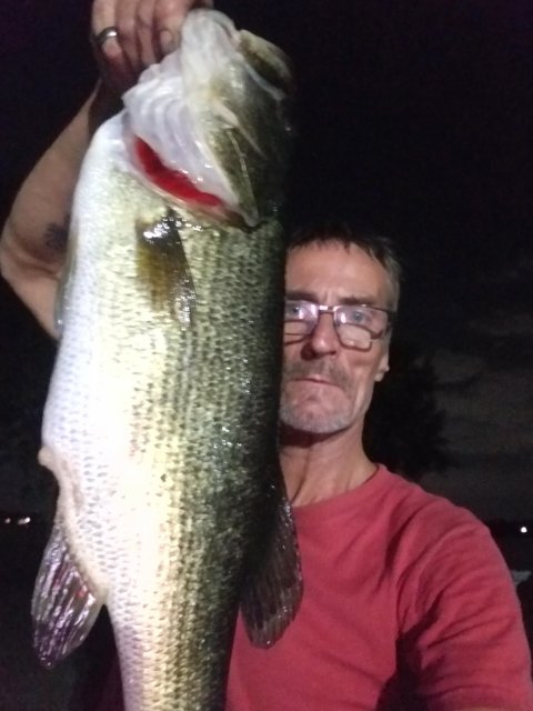 Gerritt Lee Story Catch