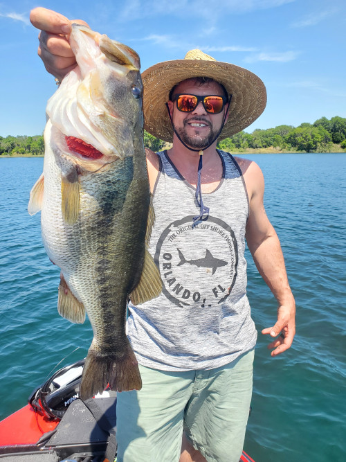 Anthony Spellman Story Catch