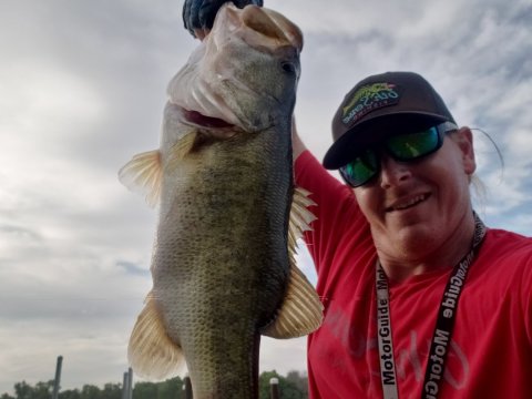 Jared Teel Story Catch