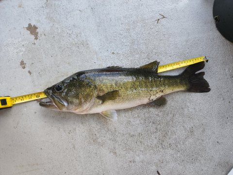 James Parks Story Catch