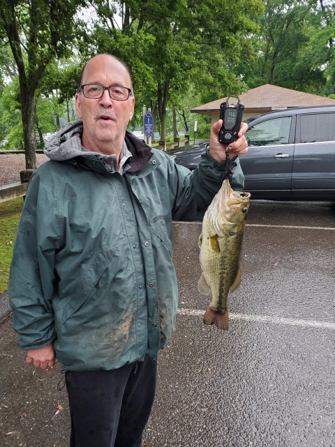 Ray Walsh Story Catch