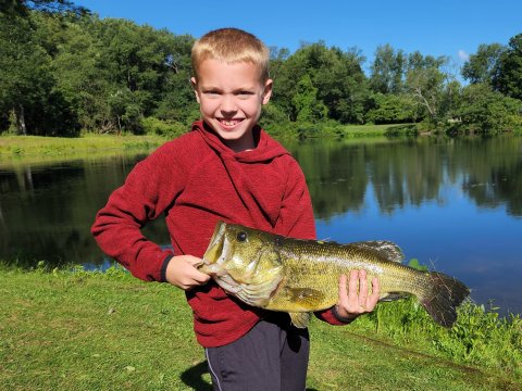 Noah Steed Story Catch