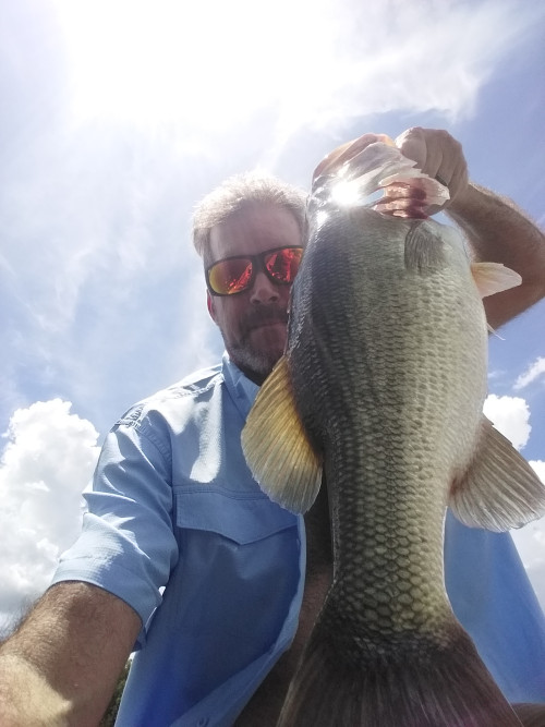 Michael Kent Story Catch