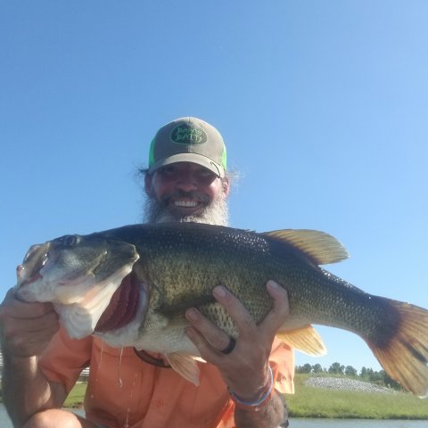 Cap Woodall Story Catch