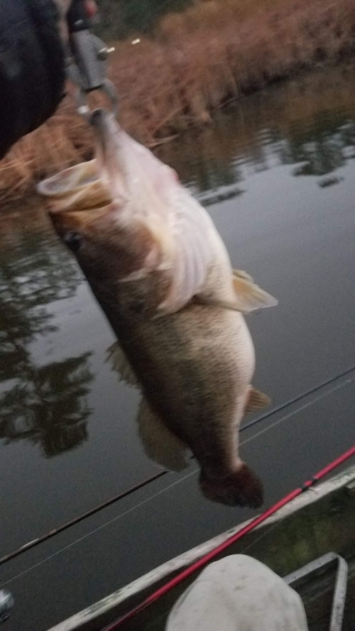 Philip McGaha Story Catch