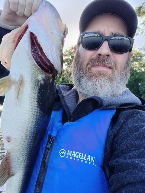 Vel Forrester Story Catch