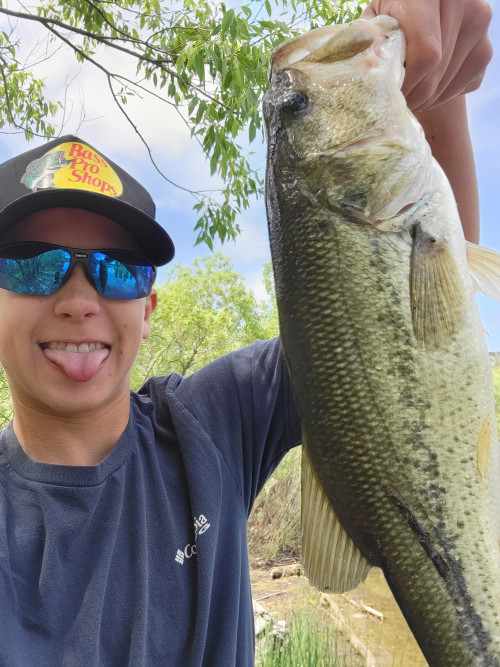 Austin Hammer Story Catch