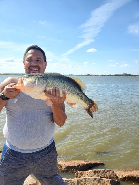 Michael Solis Story Catch