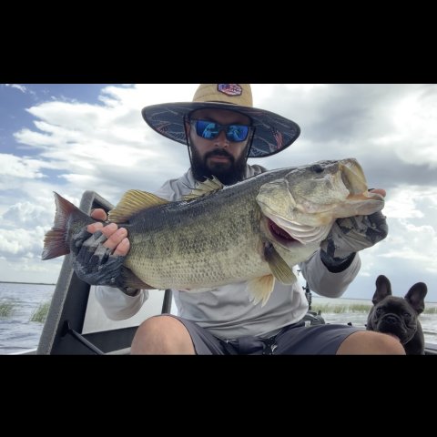 Justin Cox Story Catch