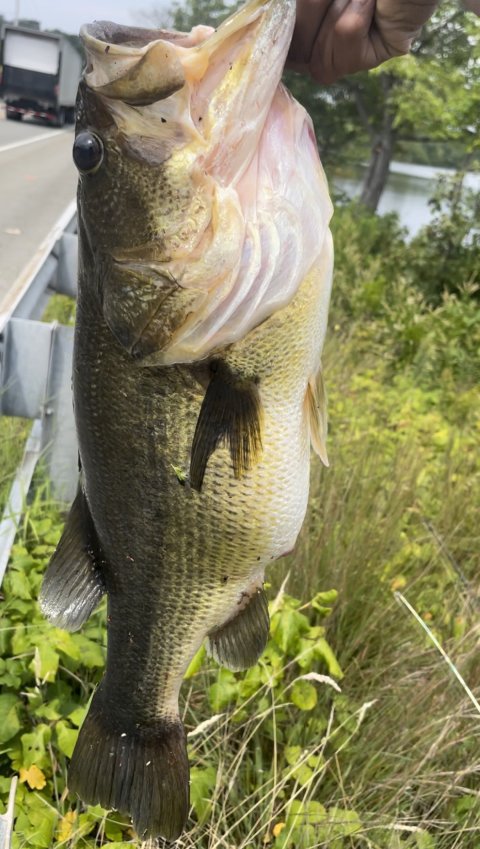 Zaahir Hughes Story Catch