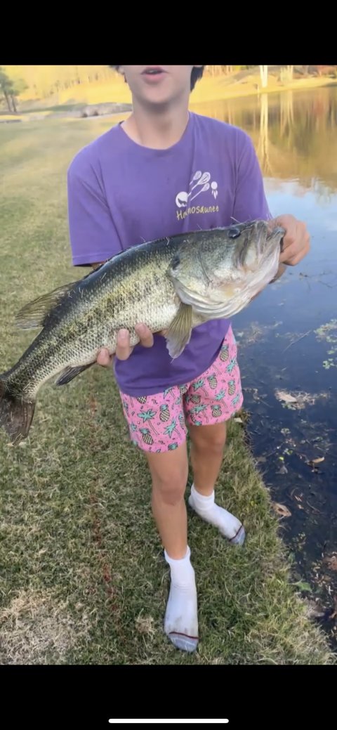 Jp Williams Story Catch