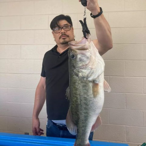 Roger Banker Story Catch