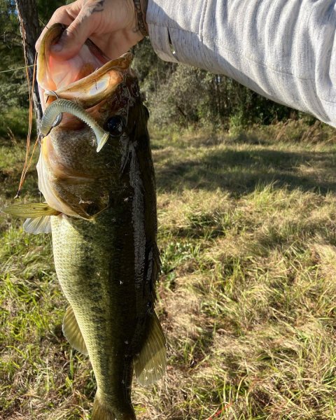 Robert Sims Story Catch