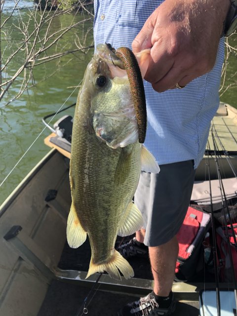 Anthony McInturff Story Catch