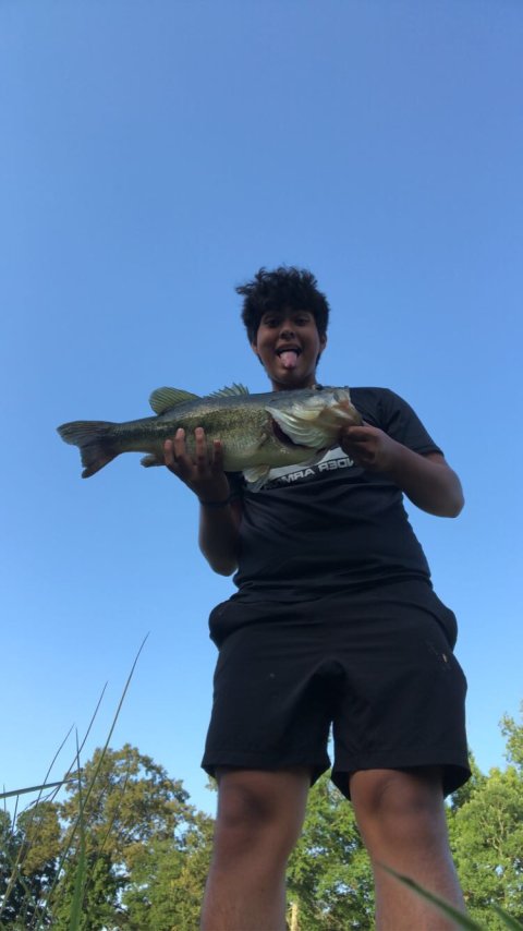 Robert Curiel Story Catch