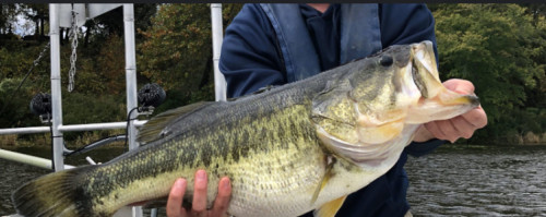 Micah woods Story Catch