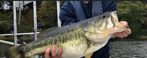 Micah woods Story Catch