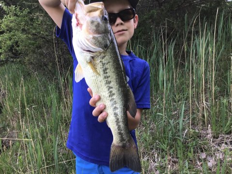 Jason Wade Story Catch