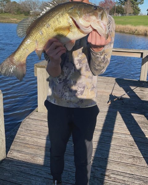 Colten Harding Story Catch