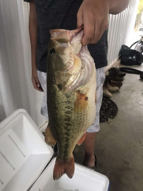 Carter Voyles Story Catch